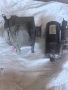 Части за ФОЛКСВАГЕН ТУАРЕГ V 6 DIESEL, снимка 5
