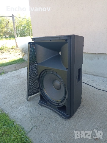 Behringer 12 inch