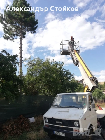 Рязане и кастрене на дървета с автовишка, снимка 15 - Други услуги - 54006380