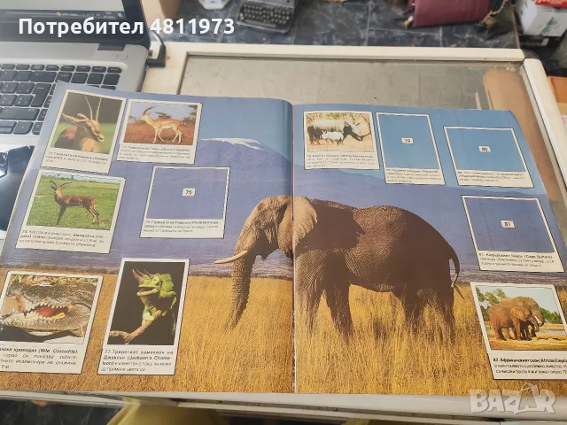 Албум Панини животните по света panini, снимка 3 - Колекции - 55440658