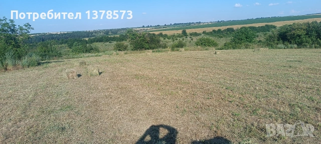 Бали чиста люцерна , снимка 3 - За селскостопански - 55070285
