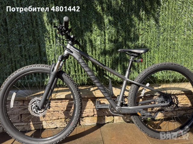 Specialized Rockhopper 29” M 