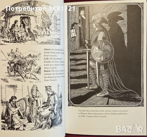 The Celts. An Illustrated History, снимка 6 - История, политика и общество - 55362474