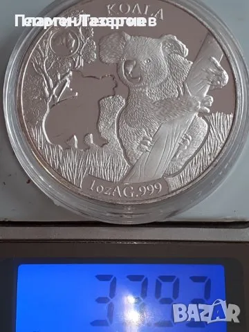 Авсралия коала 2019