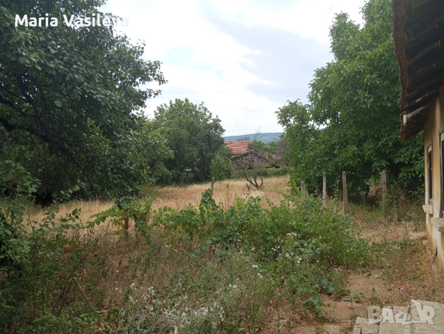 Дворно място е регулация