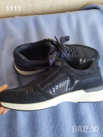 Gabor  и Medicus номер 42-отлични.