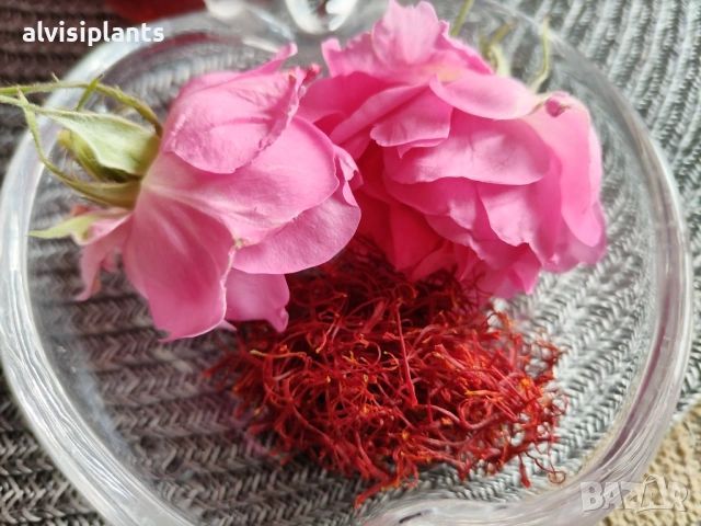 Предварителни заявки за бутиково сладко от рози с шафран, снимка 8 - Други - 54170679