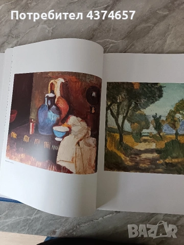 ХЕНРИ МАТИС -луксозен албум, снимка 4 - Други ценни предмети - 53952008