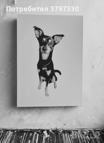 Релефни персонализирани картини по снимка