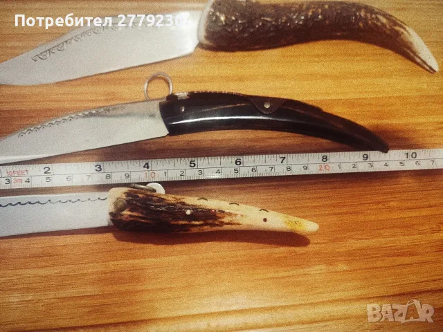 Габровски сойки от колекция Нови!, снимка 4 - Колекции - 50437855
