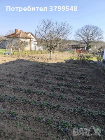 Имот в село Вирове, снимка 12 - Къщи - 54509851