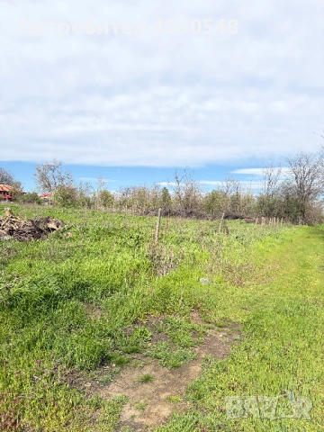 парцел в село Кутово, Видинско, снимка 2 - Парцели - 54818352