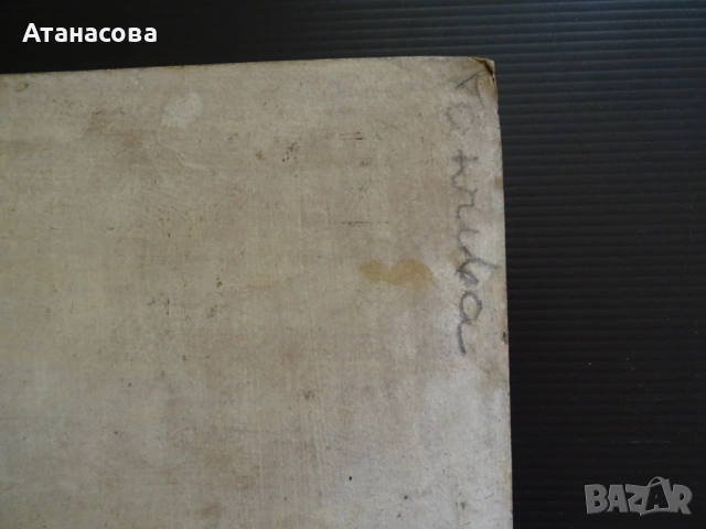 ТАНЯ ТАНЧЕВА  картина Натюрморт масло 1990 г 1, снимка 5 - Картини - 54140099