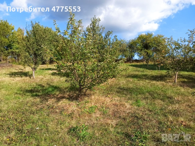 Продавам парцел , снимка 2 - Парцели - 53951614