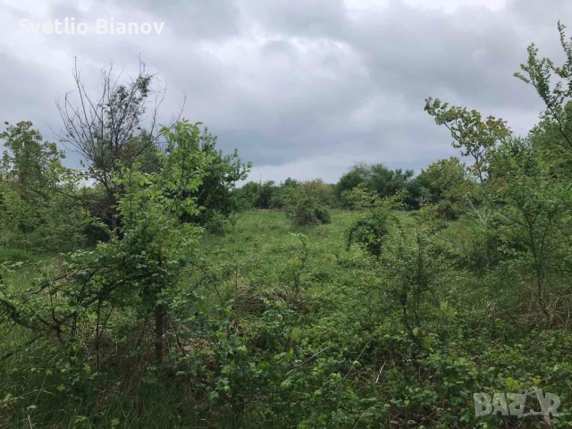Продавам дворно място с. Аврен, снимка 2 - Парцели - 54508798