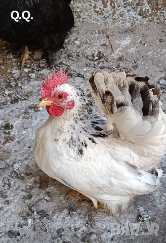 Продавам