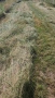 п.одавам сено, снимка 3