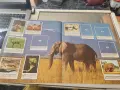 Албум Панини животните по света panini, снимка 3