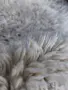 Китеник за приста, снимка 3