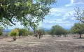 Парцел в ж.р Каменец,близо до кв.Хисаря, снимка 2