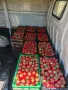 Здравейте дойде времето и  за разсад ягоди, снимка 9