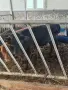 телета жески 2бр абардин, снимка 1