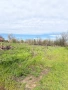 парцел в село Кутово, Видинско, снимка 2