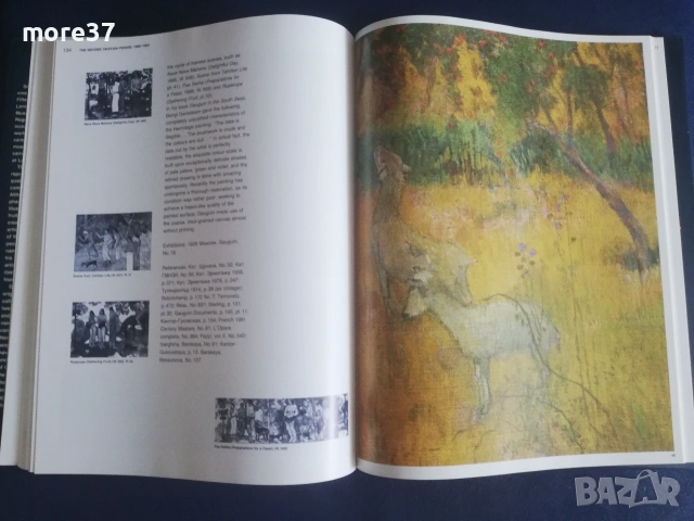 Пол Гоген-рядка книга, снимка 8 - Изкуство, музика, кино и фотография - 55314834