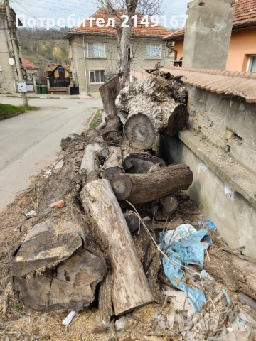 Дървен материал на трупи , снимка 2 - Други - 53972698