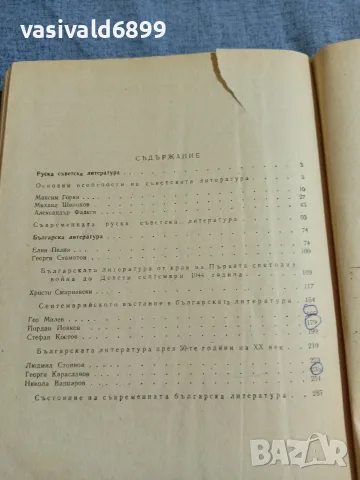 Литература за 11 клас , снимка 6 - Учебници, учебни тетрадки - 55601590