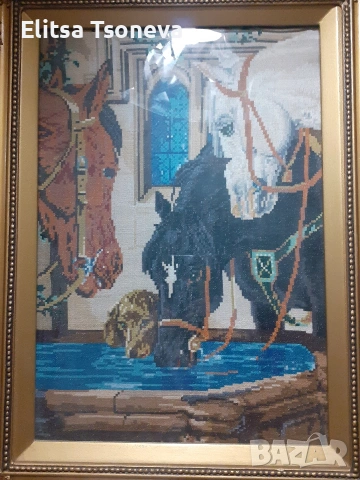 конски запой, снимка 2 - Антикварни и старинни предмети - 54307851