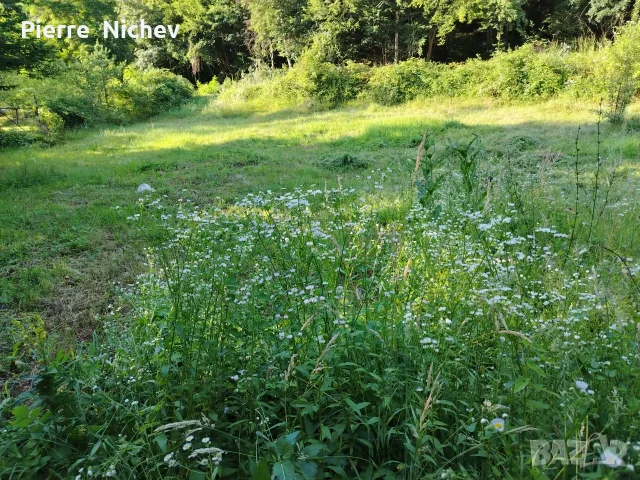 Панорамен Парцел , снимка 12 - Парцели - 47795715