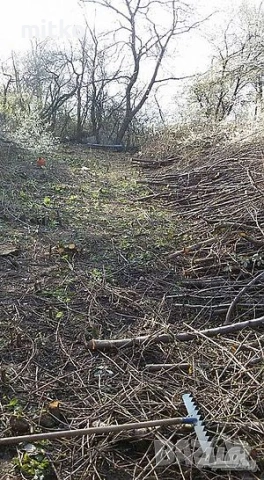 Хамалски услуги в София и региона , снимка 3 - Хамалски услуги - 54659959