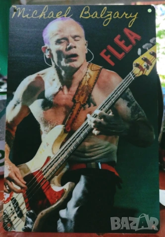 Michael Balzany FLEA-метална табела(плакет)