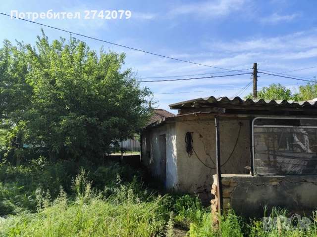 Едноетажна къща с голям двор, село Лехчево, снимка 4 - Къщи - 54644703