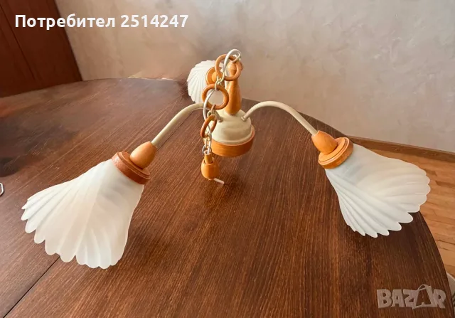 Полилей с три глобуса, снимка 2 - Полилеи - 55666914