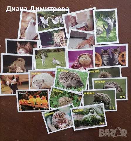 Календарчета...
