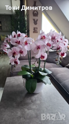 ИЗКУСТВЕНО РАСТЕНИЕ ОРХИДЕЯ 70CM, снимка 2 - Стайни растения - 54052160
