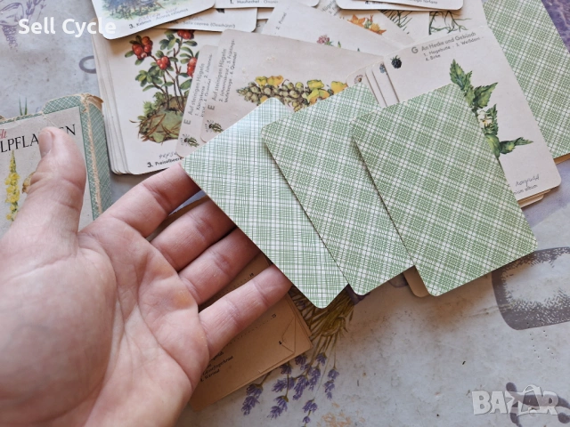 ✅НЕМСКИ КАРТИ - ЛЕЧЕБНИ РАСТЕНИЯ ОТ 1960 Г.❗, снимка 7 - Антикварни и старинни предмети - 54137536