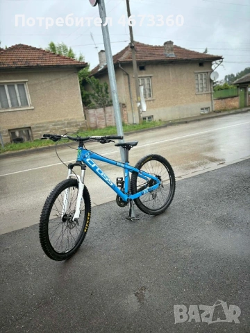 Cross dexter