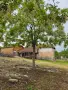 Продавам къща в с. Чирен, област Враца, снимка 5