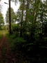 Парцел, с. Ноевци, общ. Перник , снимка 2