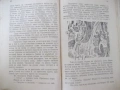 Книга"Градътъ на окованитѣ. Прикл.на орл...-Е.Коларовъ"-516с, снимка 4