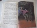Книга "Синът на ловеца на мечки - Карл Май" - 264 стр., снимка 6