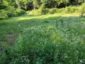Панорамен Парцел , снимка 12