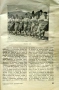 Съвременна пехота. Кн. 50 / 1939, снимка 6