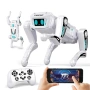 Интелигенто куче робот с дистанционно управление - STEM, снимка 7