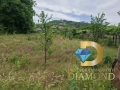 Парцел в село Искра, общ. Първомай, снимка 2