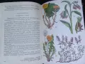 Две книги за билките в България, снимка 9