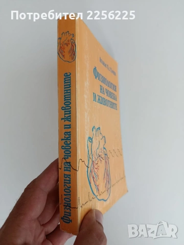 Физиология на човека и животните, снимка 6 - Специализирана литература - 55104758